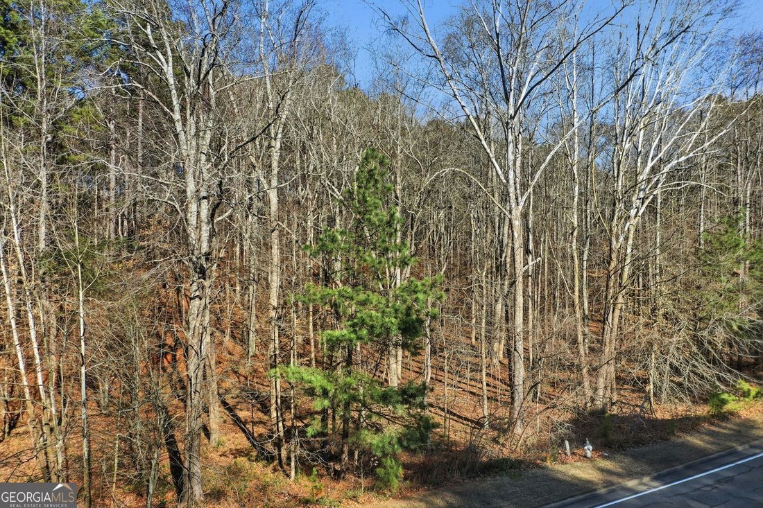 Land in Canton, Georgia, United States 1 - 18157235