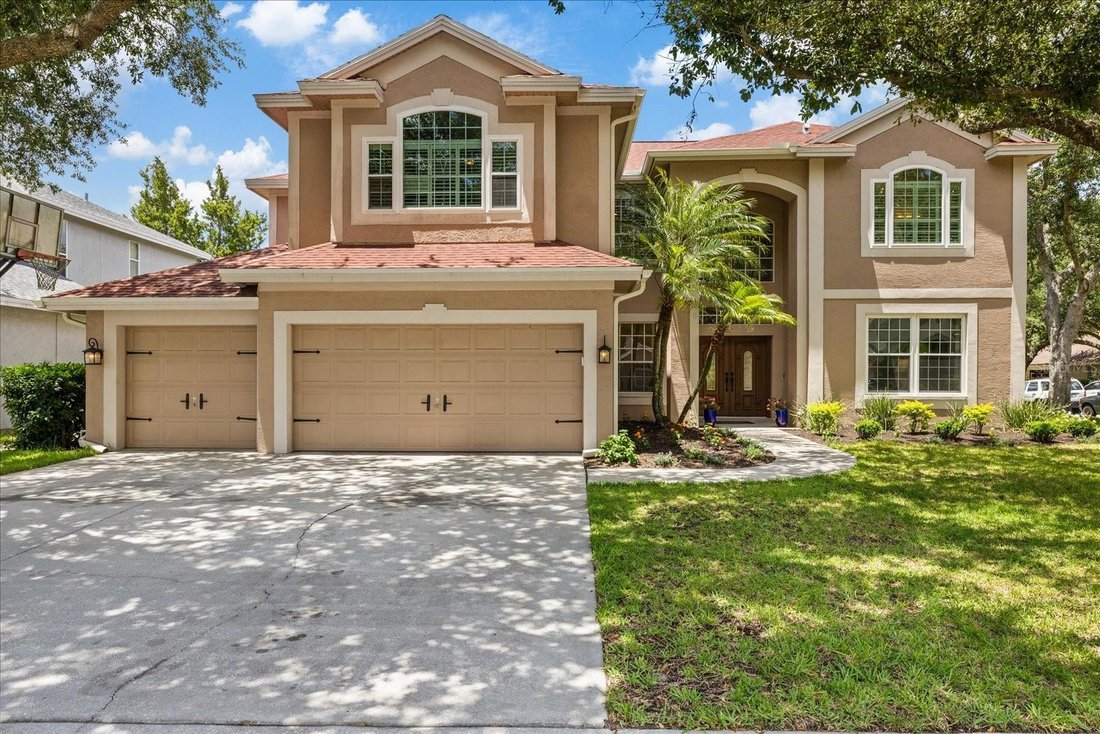 House in Palm Harbor, Florida, United States 1 - 18154909