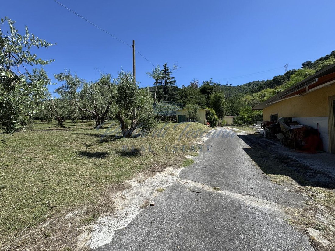 Land in Pietrasanta, Tuscany, Italy 2 - 16391788