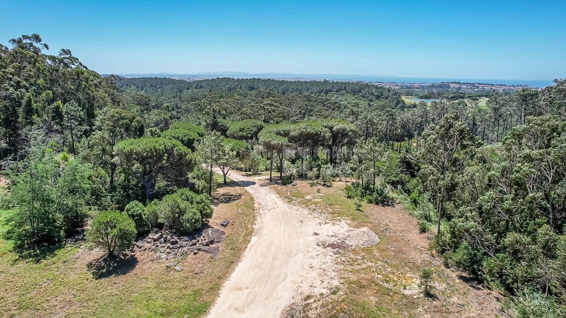 Land in Sintra, Lisbon, Portugal 5 - 18163901
