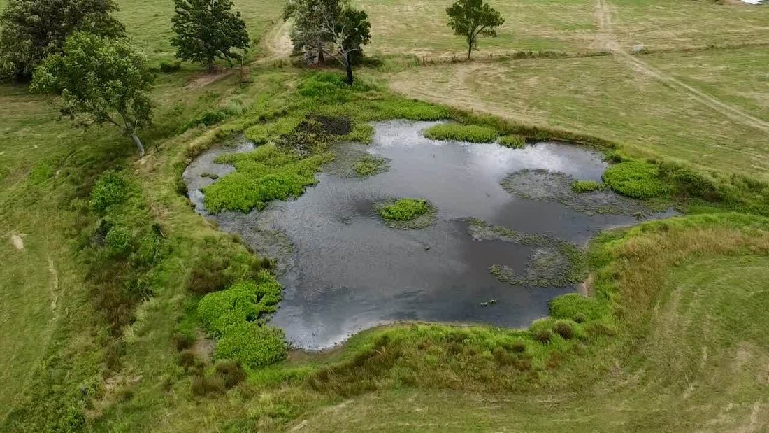 Farm Ranch in Coal Hill, Arkansas, United States 5 - 18154021