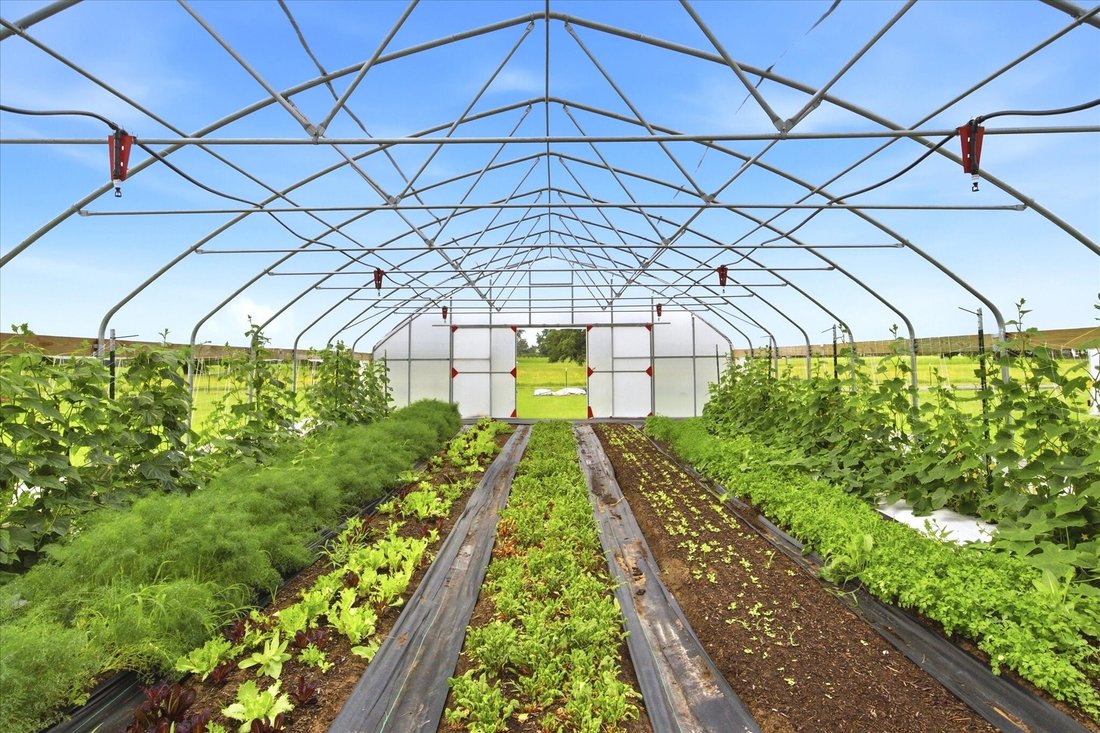 Azienda agricola a Emory, Texas, Stati Uniti 3 - 18160071