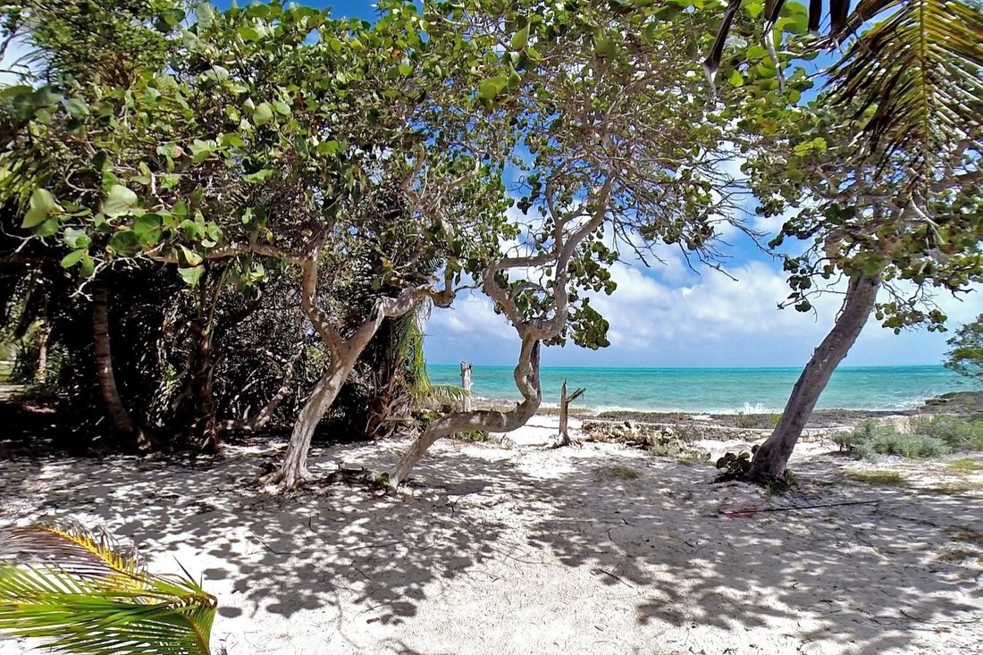 Private Island in Mangrove Cay Settlement, Mangrove Cay, The Bahamas 2 - 18156242