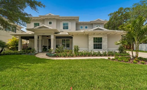 House in Tampa, Florida, United States 1
