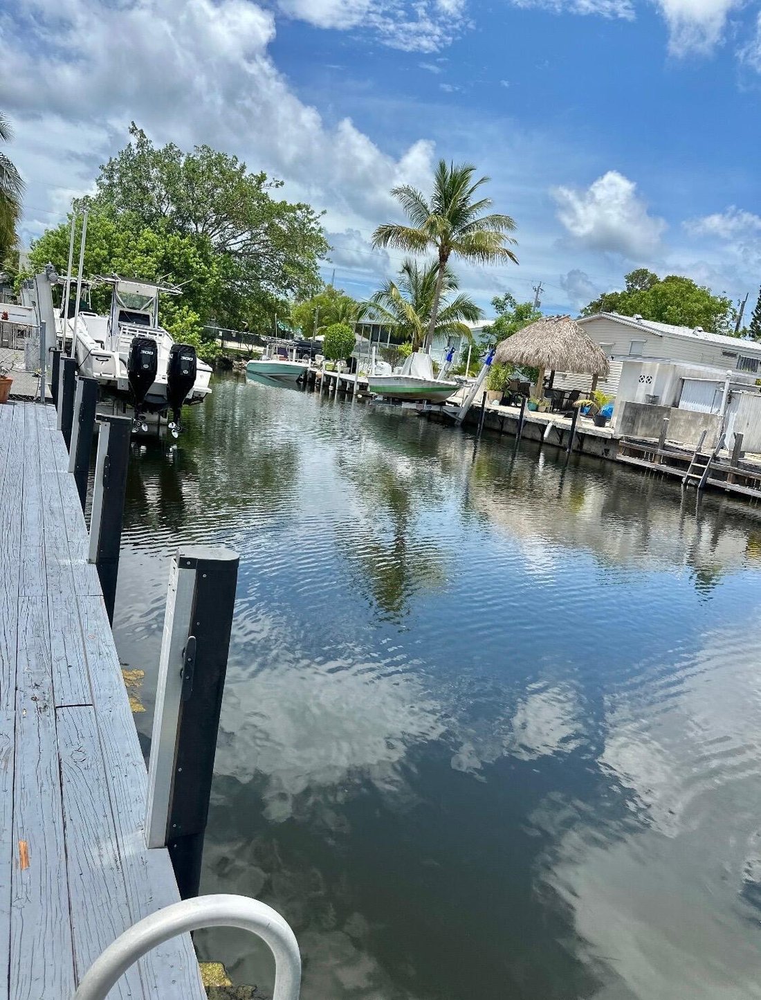 Key Largo, Florida, United States 5 - 17527495
