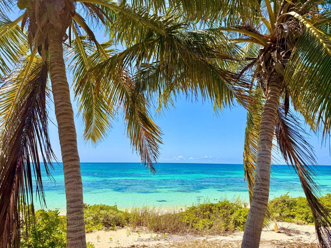 Land in Zonicles, Cat Island, The Bahamas 5 - 18154966