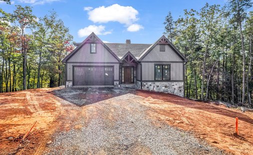 House in Mill Spring, North Carolina, United States 1