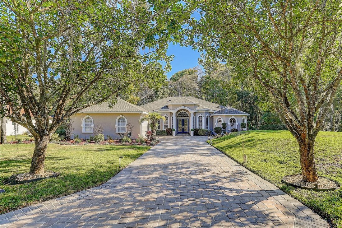 House in Spring Hill, Florida, United States 1 - 18155321