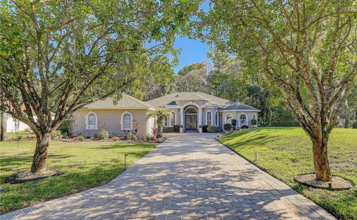 House in Spring Hill, Florida, United States 1