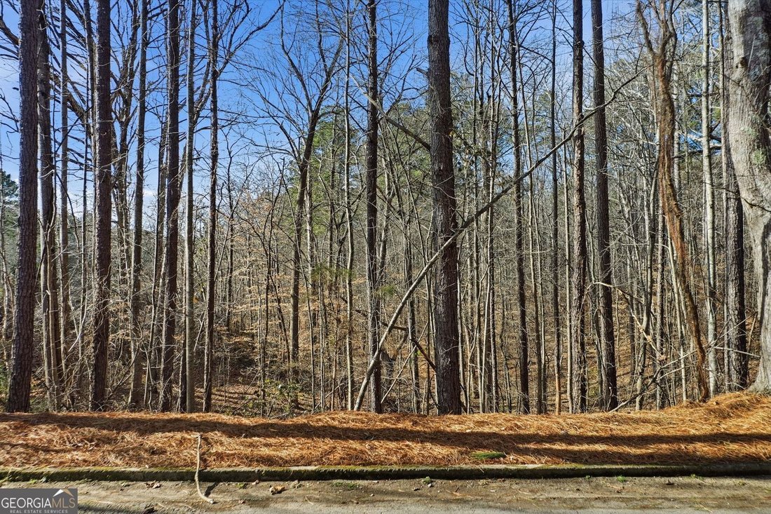 Land in Canton, Georgia, United States 1 - 18157233