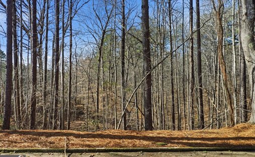 Terreno a Canton, Georgia, Stati Uniti 1