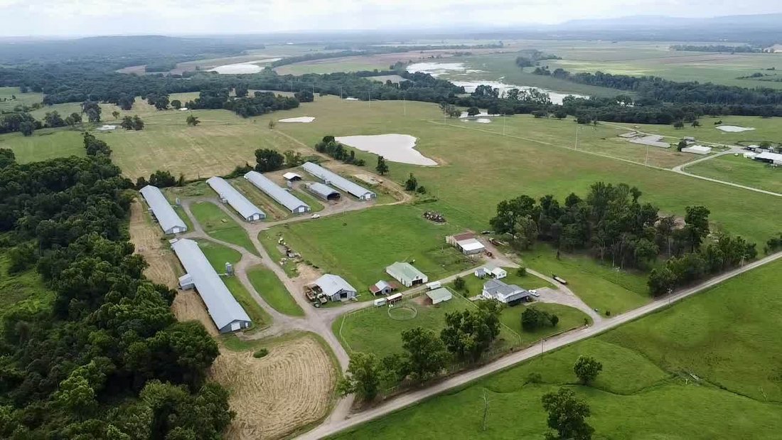 Farm Ranch in Coal Hill, Arkansas, United States 3 - 18154021