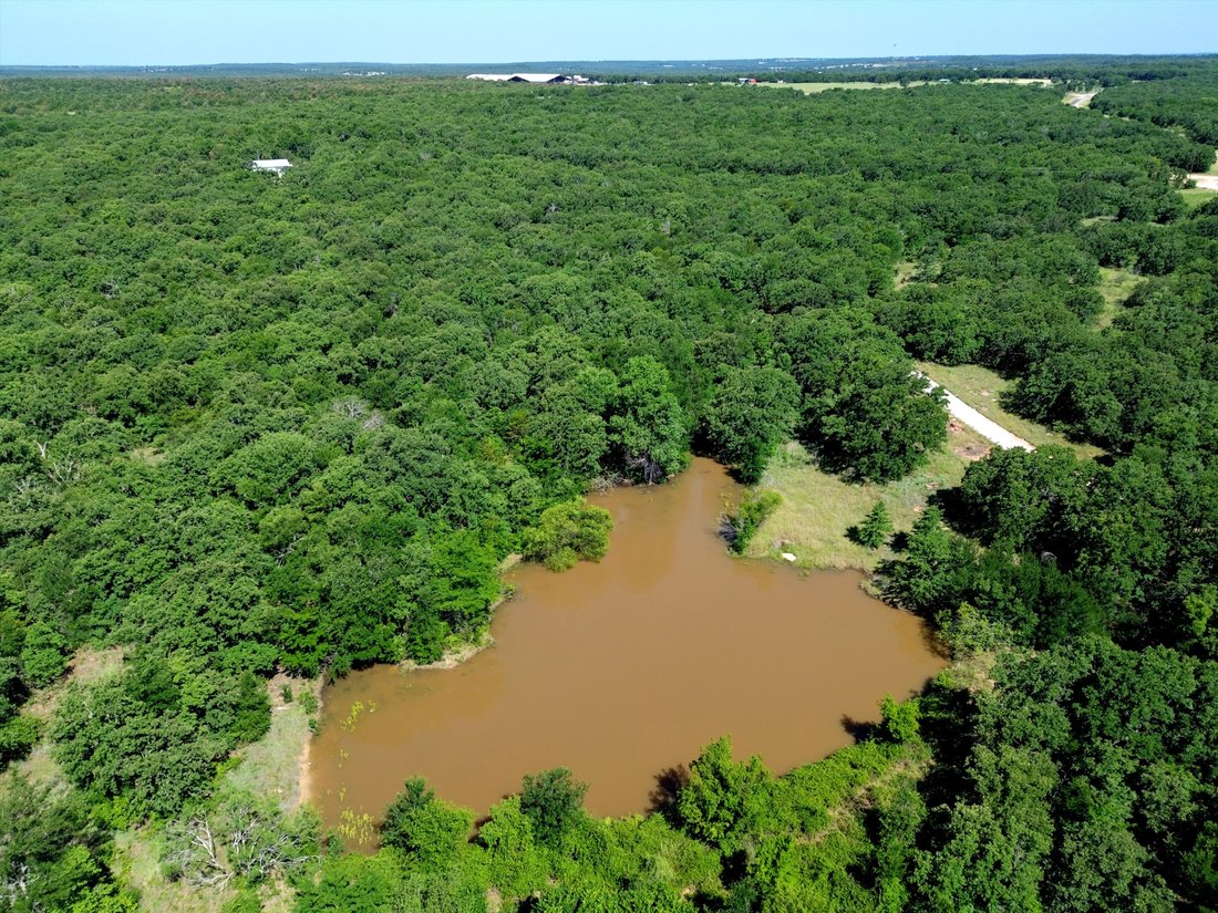 Farm Ranch in Chico, Texas, United States 2 - 18157464