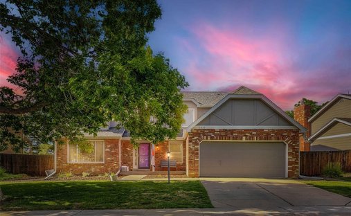 House in Centennial, Colorado, United States 1