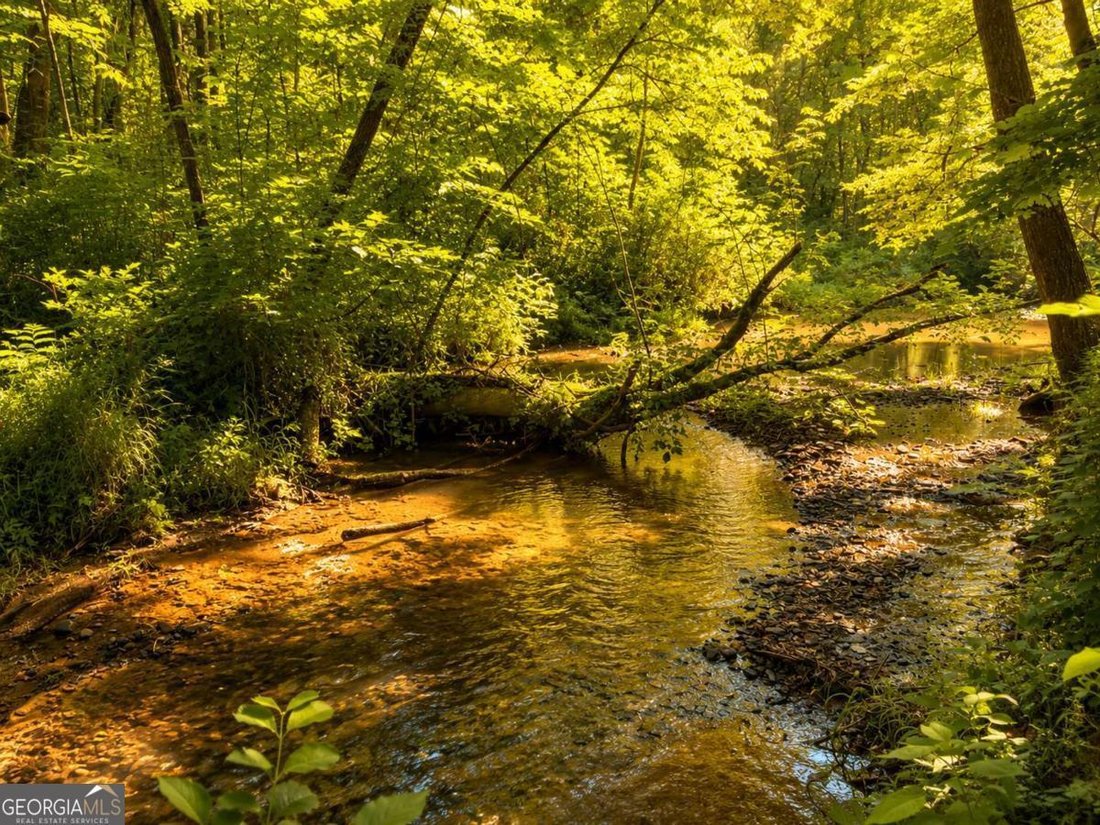 Jasper, Georgia, United States 4 - 18160243