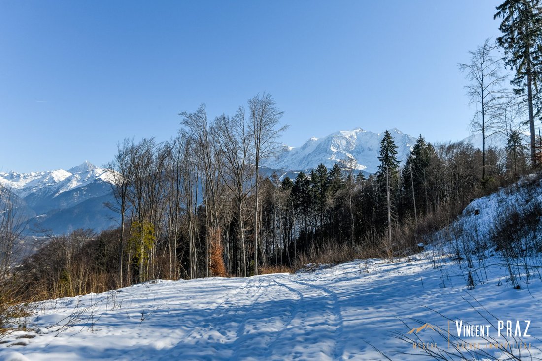 Land in Combloux, Auvergne-Rhône-Alpes, France 2 - 18155902