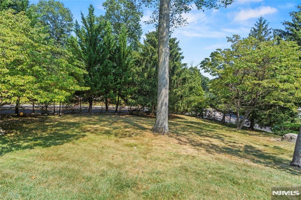 House in Saddle River, New Jersey, United States 4 - 18169973