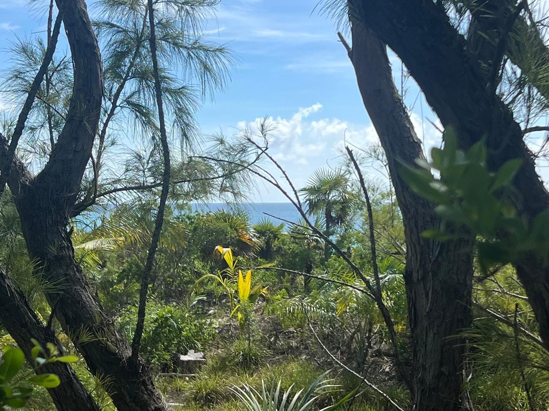 Land in Savannah Sound, Central Eleuthera, The Bahamas 4 - 18167547