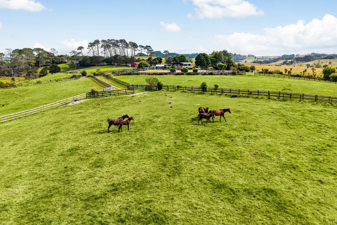 Land in Kumeu, Auckland, New Zealand 3 - 18171772