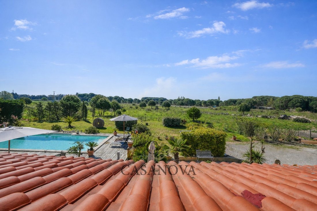 Country House in Centre Ville, Aigues-Mortes, France 4 - 18167663