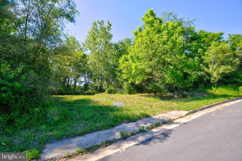 Land in Winchester, Virginia, United States 4 - 18165940