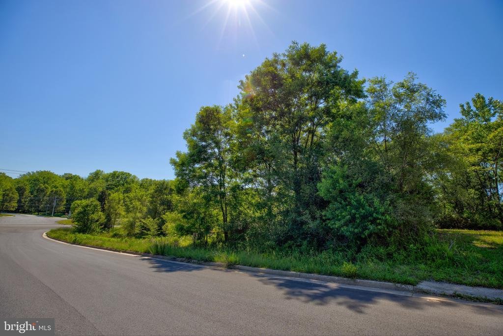 Land in Winchester, Virginia, United States 3 - 18165940