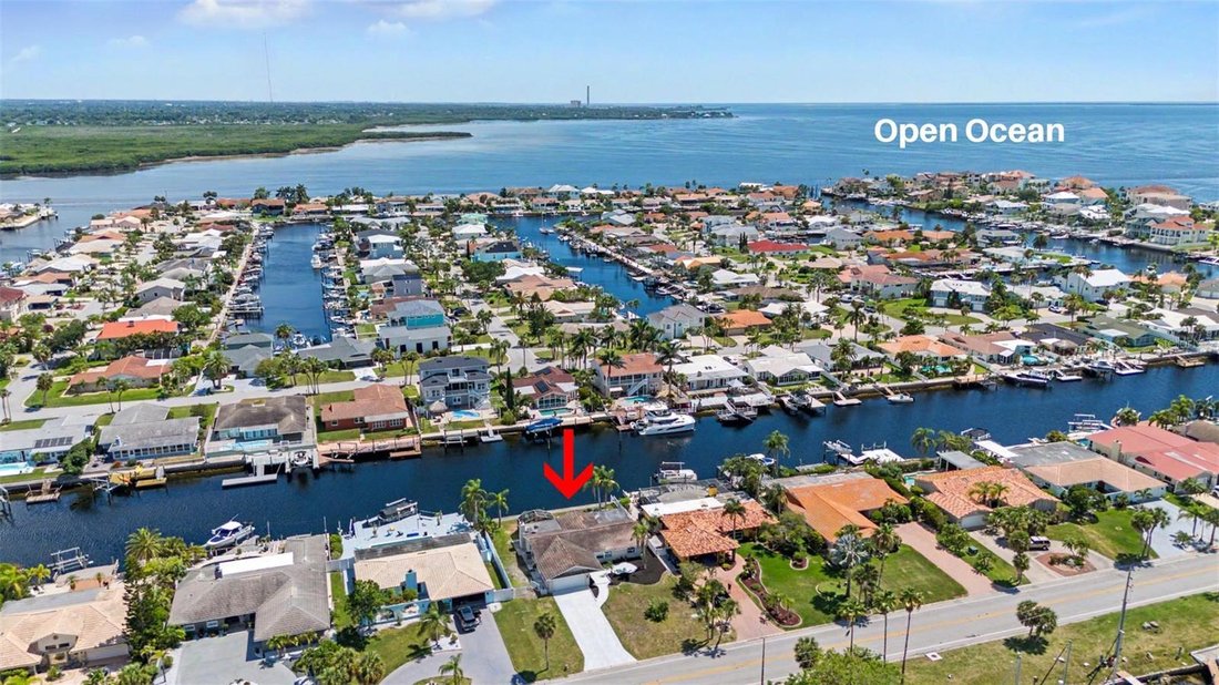 House in New Port Richey, Florida, United States 4 - 18169824