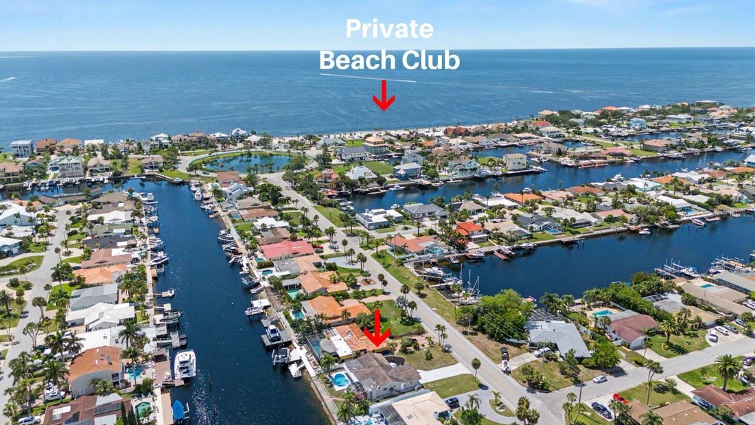 House in New Port Richey, Florida, United States 5 - 18169824