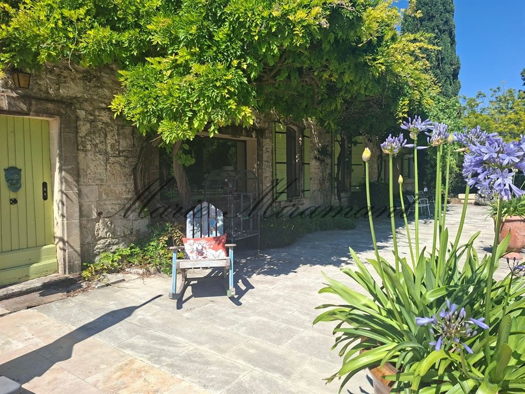 Estate in Arles, Provence-Alpes-Côte d'Azur, France 5 - 18069158