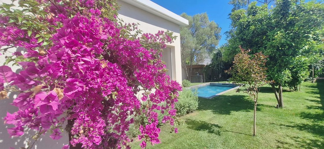 Villa in Hippodrome-Kennedy, Cagnes-sur-Mer, France 1 - 17908029