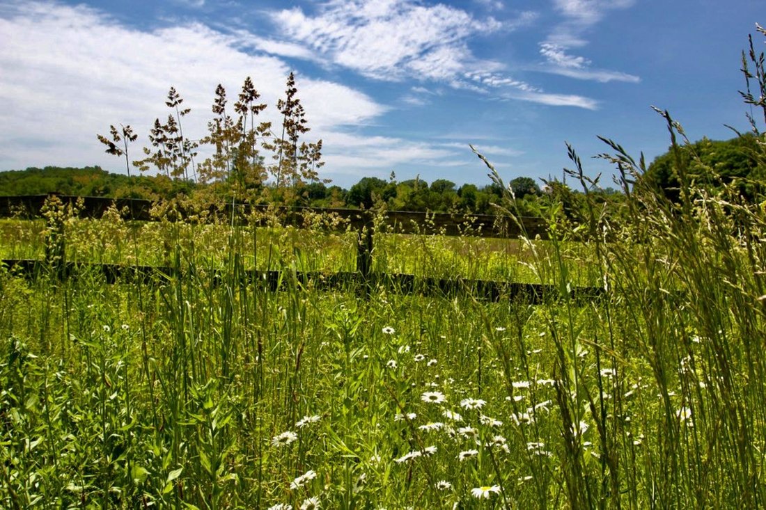 Land in Red Hook, New York, United States 5 - 18171591