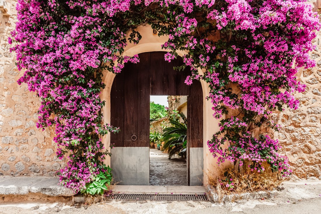 Villa in Deia, Balearic Islands, Spain 1 - 18171904