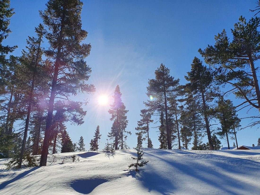 Land in Espeset, Buskerud, Norway 3 - 18173472