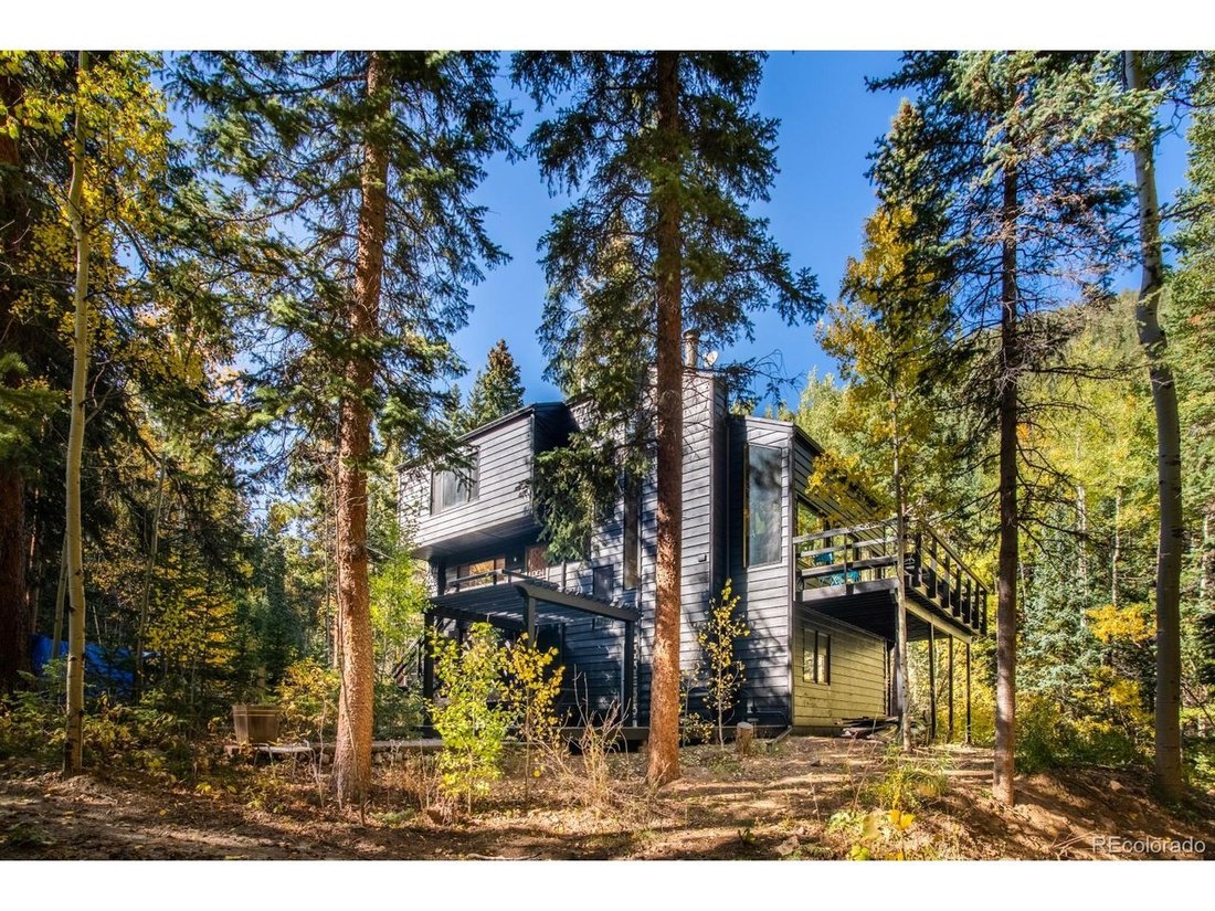 House in Idaho Springs, Colorado, United States 5 - 18172733