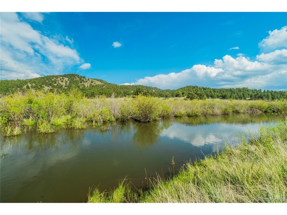 Farm Ranch in Florissant, Colorado, United States 4 - 18173919