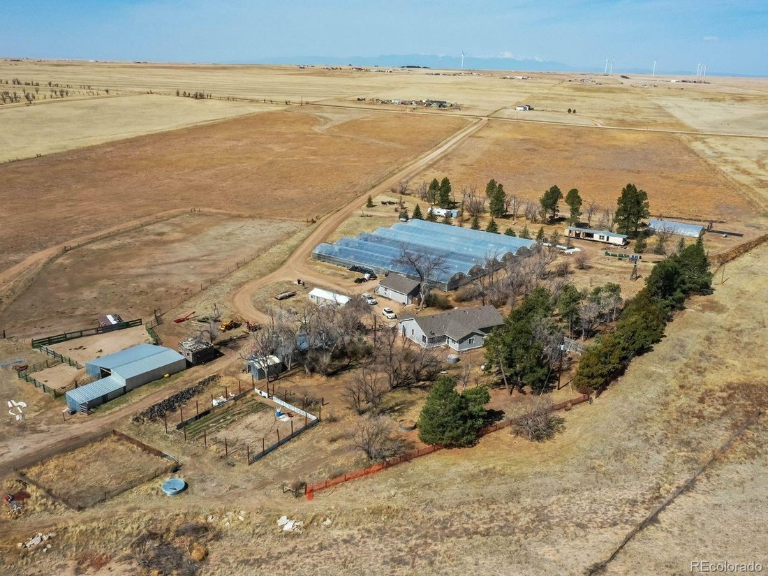 Yoder, Colorado, United States 1 - 18172810