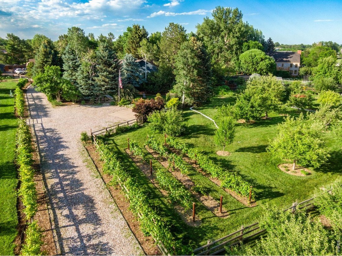 Fort Collins, Colorado, United States 5 - 18174623