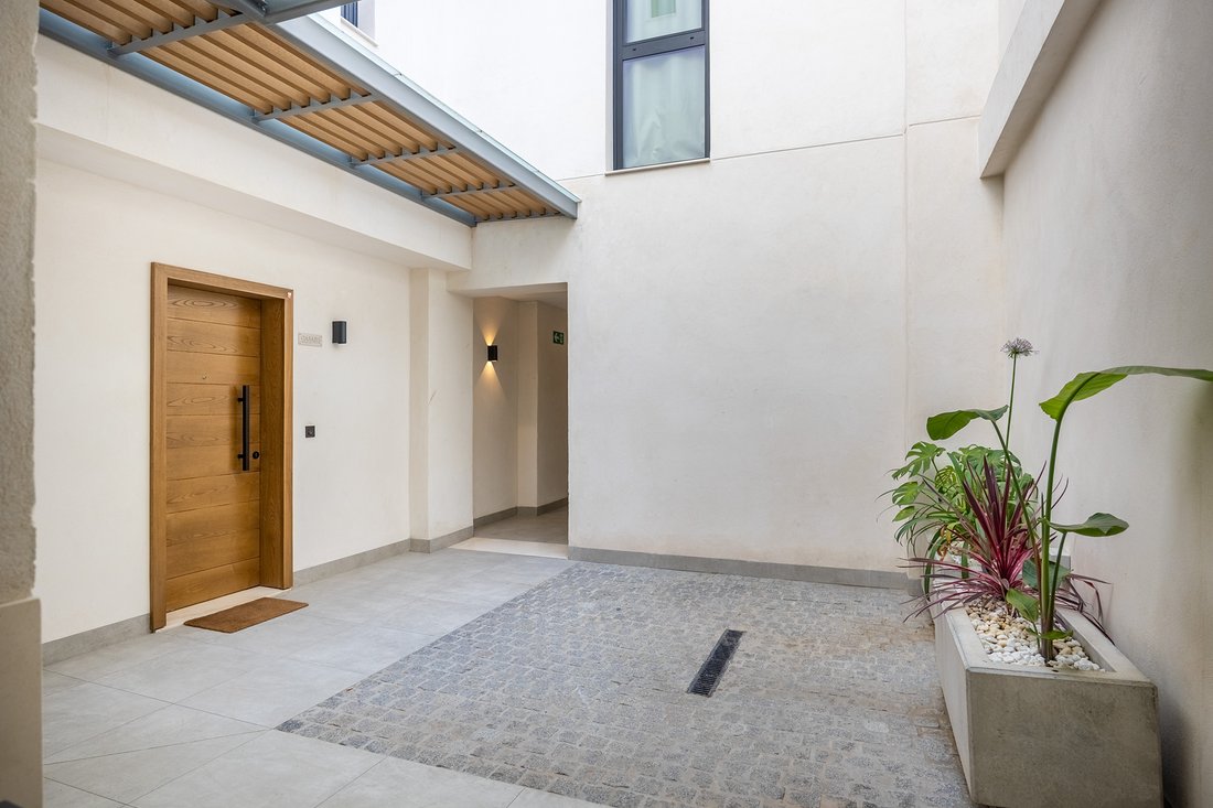 Apartment in Casco Antiguo, Seville, Spain 5 - 18174615