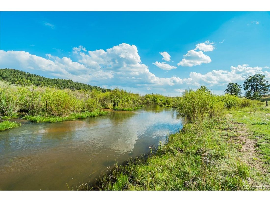 Farm Ranch in Florissant, Colorado, United States 5 - 18173919