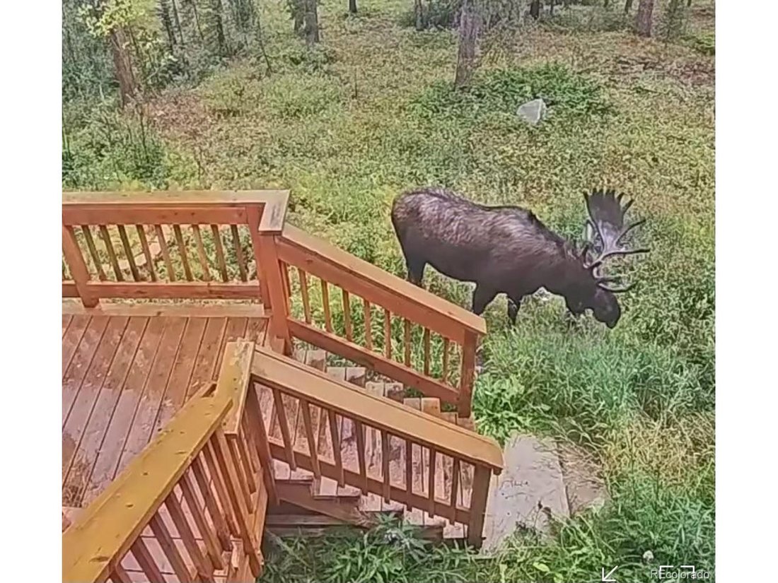 House in Breckenridge, Colorado, United States 4 - 18173258