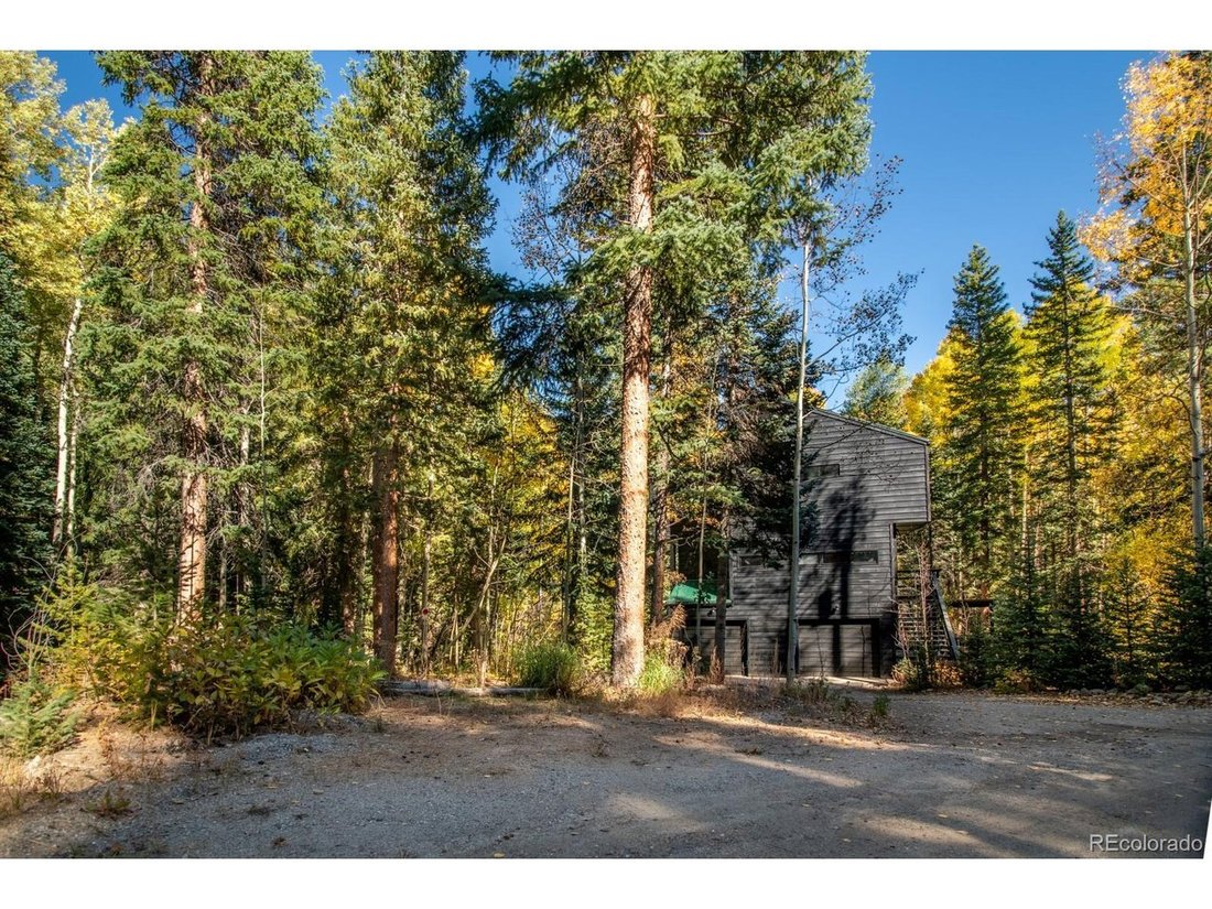 House in Idaho Springs, Colorado, United States 4 - 18172733