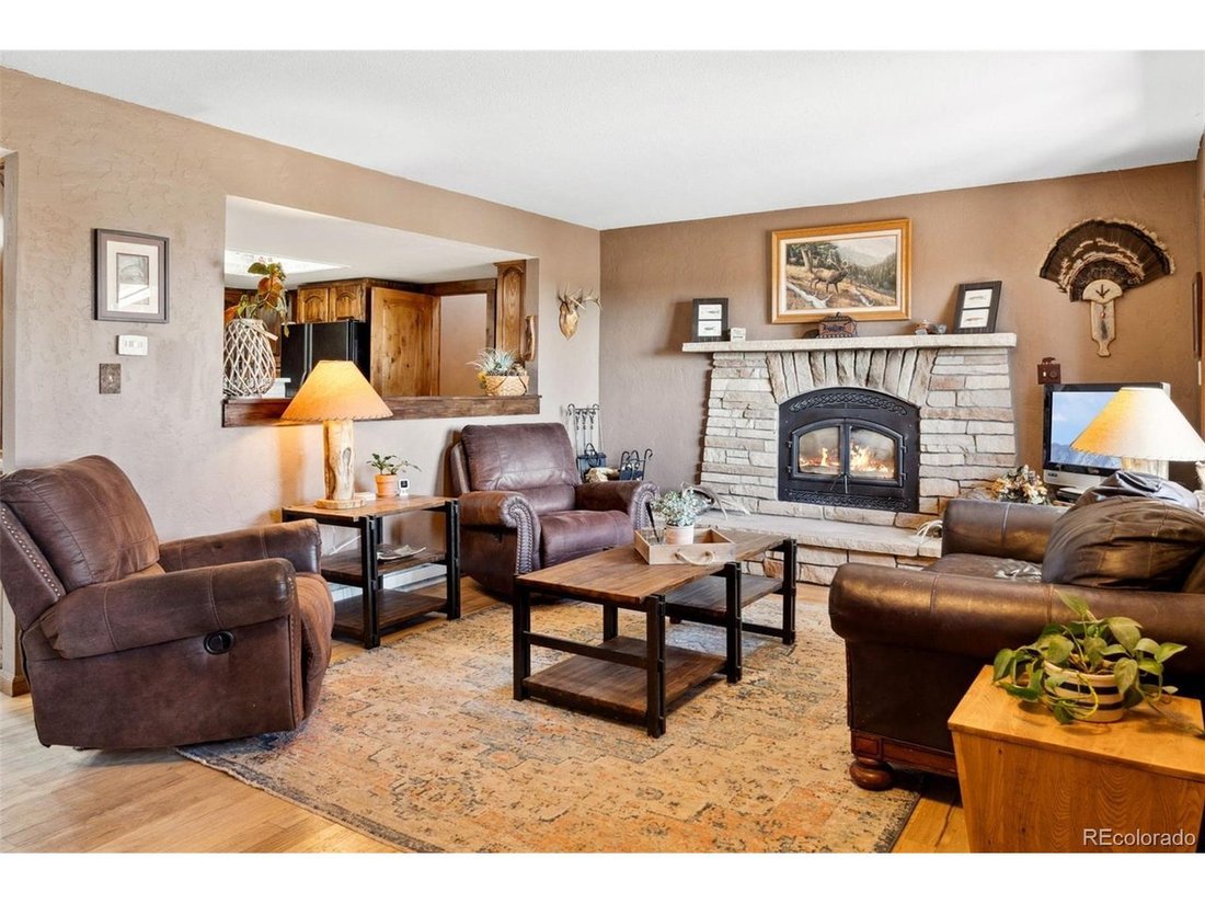 House in Fairplay, Colorado, United States 4 - 18174682