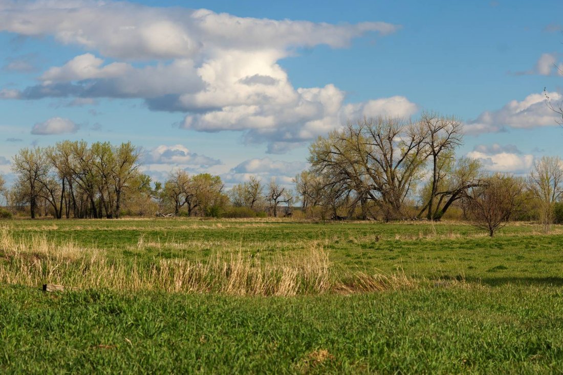 Land in Harlem, Montana, United States 4 - 17842782