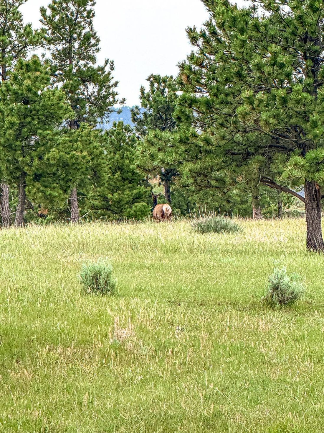 Land in Winnett, Montana, United States 4 - 18172178