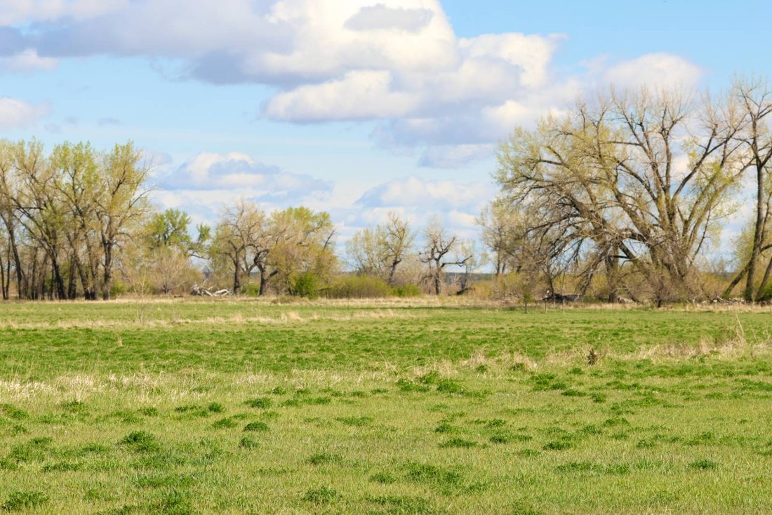 Land in Harlem, Montana, United States 3 - 17842782