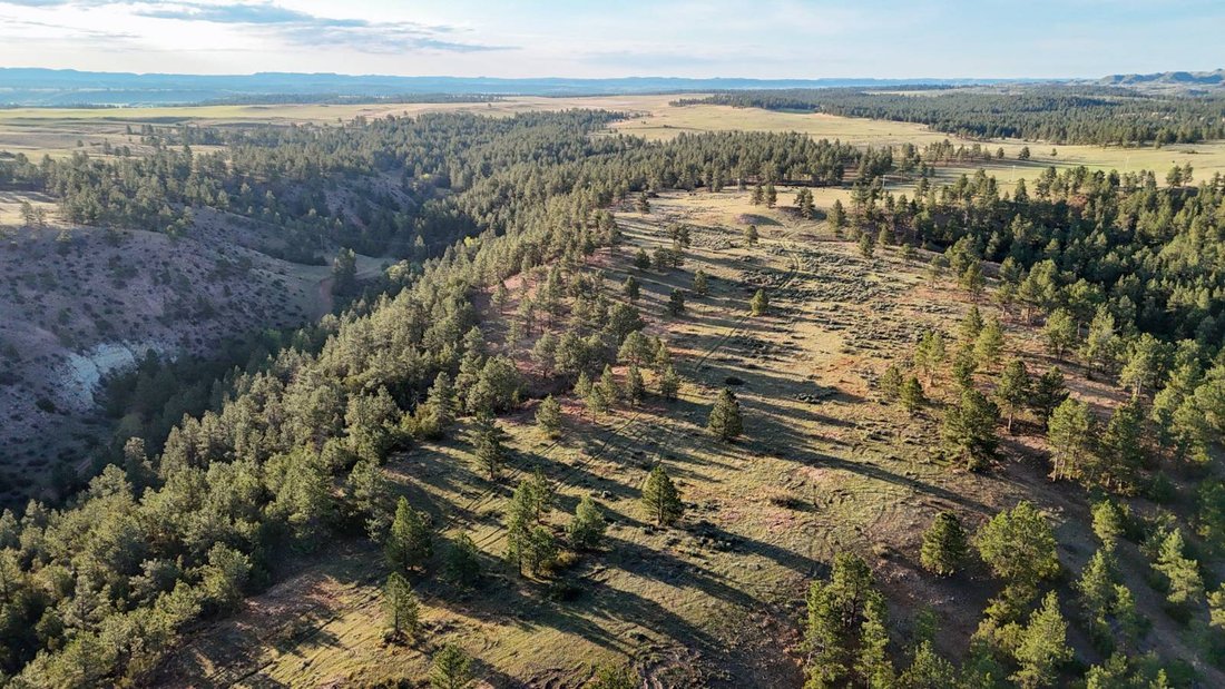 Land in Ashland, Montana, United States 3 - 18172182