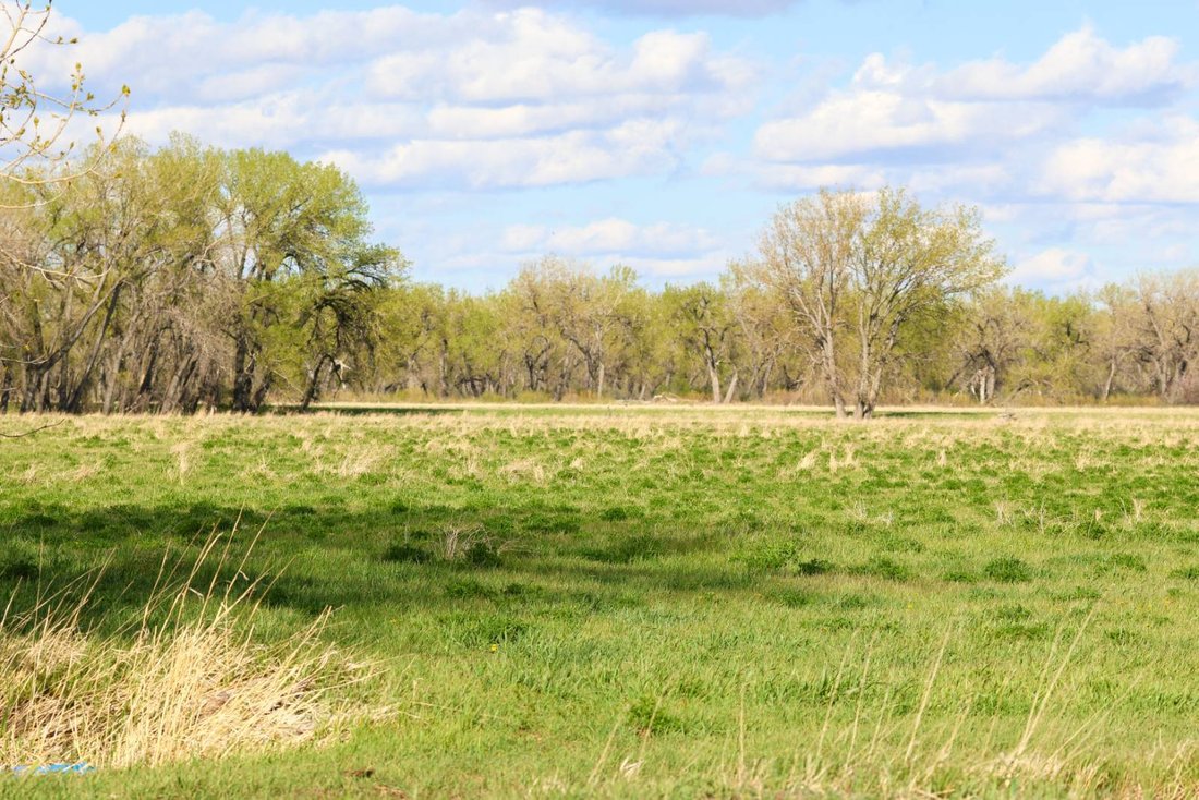 Land in Harlem, Montana, United States 2 - 17842782