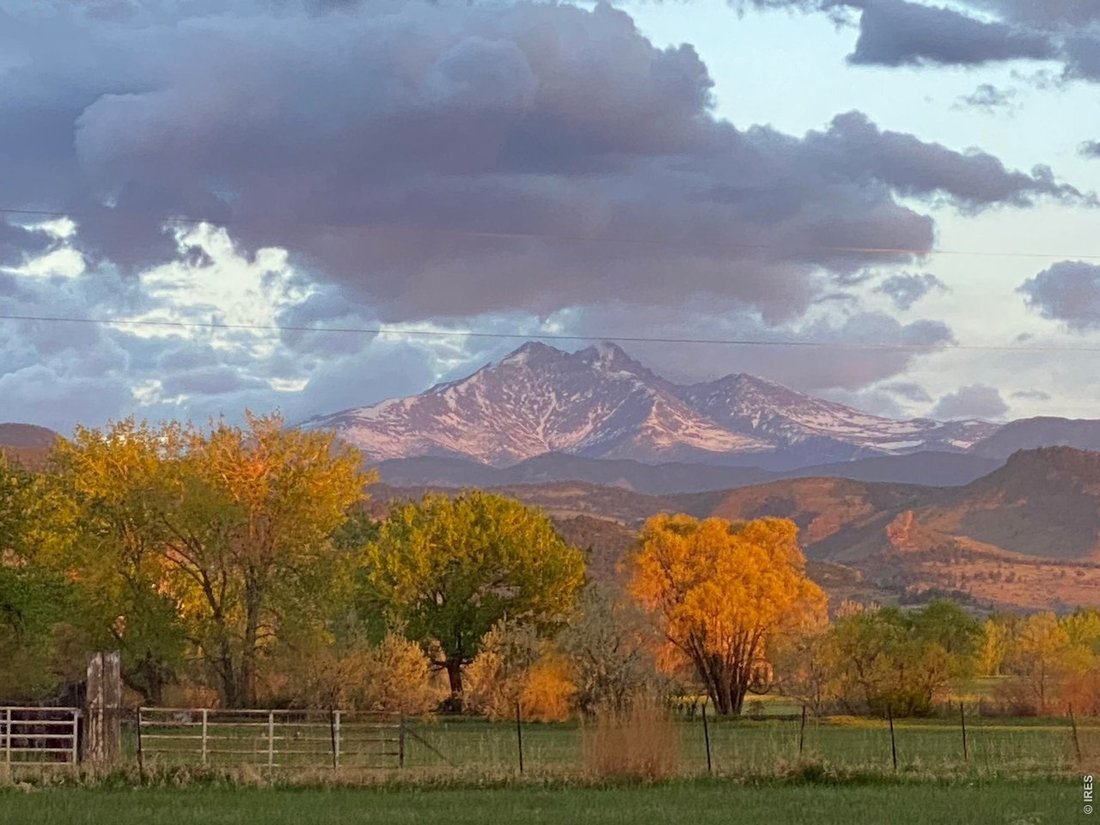 Longmont, Colorado, United States 2 - 18174505