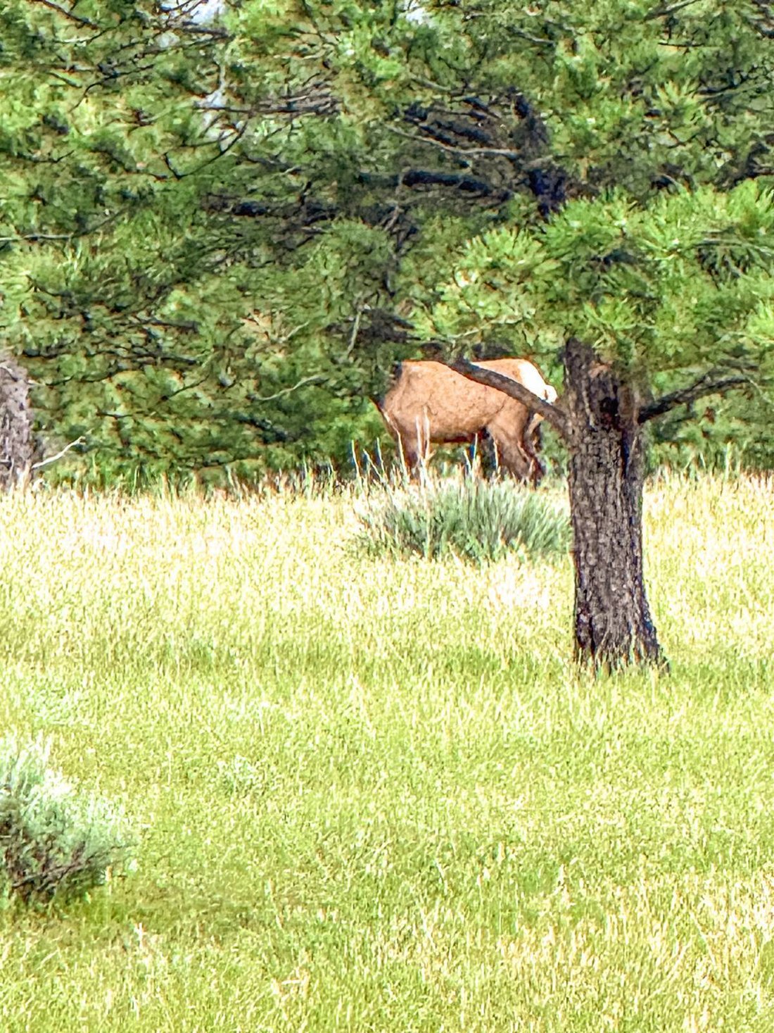 Land in Winnett, Montana, United States 3 - 18172178