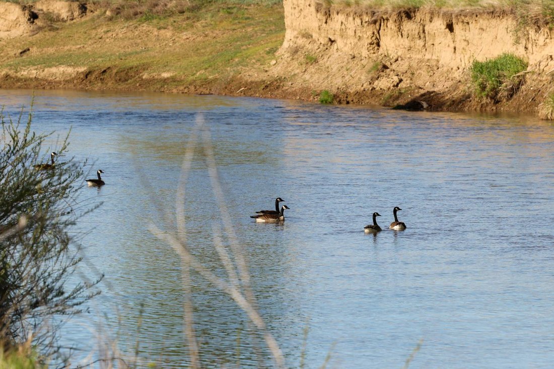 Land in Ashland, Montana, United States 5 - 18172182